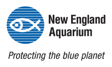 New England Aquarium logo. Text reads: New England Aquarium: Protecting the blue planet 