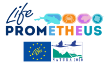 Logo for Life Prometheus