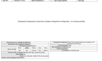 Entanglement case studies: 1980-1989 (7 cases)